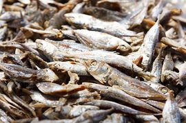 Dried Mackerel Fish