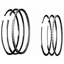 Piston Ring Spring