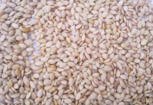 Egusi Seeds for Eating