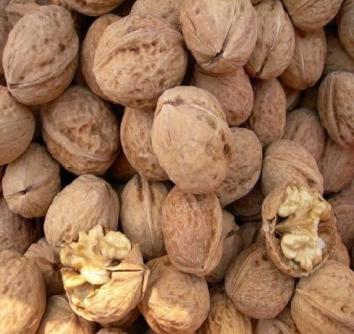 Raw Dried Walnut Kernels for Nutritious Food