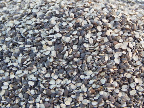 Unpolished Urad Dal