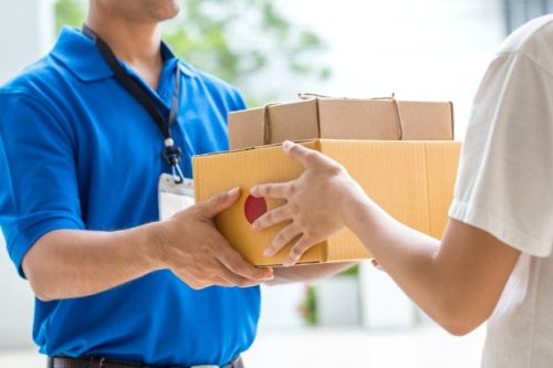 Domestic Courier Services