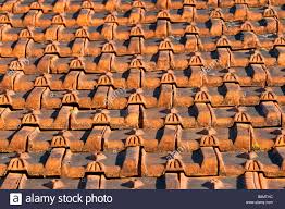 Decorative Roof Tiles