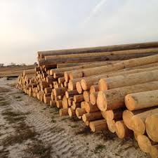 Pine Wood Logs