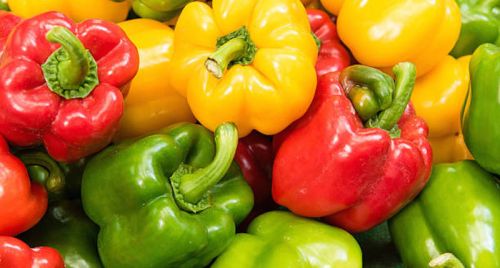 Fresh Capsicum, Type : Fresh