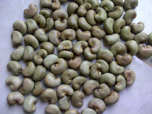 Raw Cashew Nuts, Material : Raw Cashew
