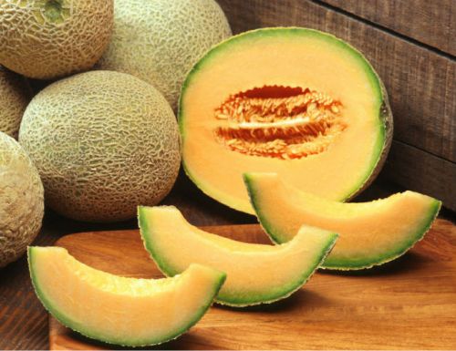 Organic Fresh Muskmelon