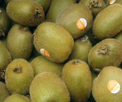 Fresh Kiwi Fruits For Sale