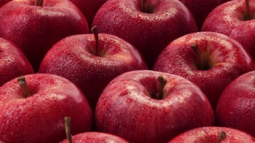 Common Fresh Red Apples Large, Medium, Small