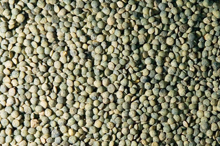 Eston Green Lentils