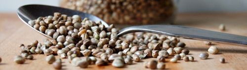 Hemp seeds