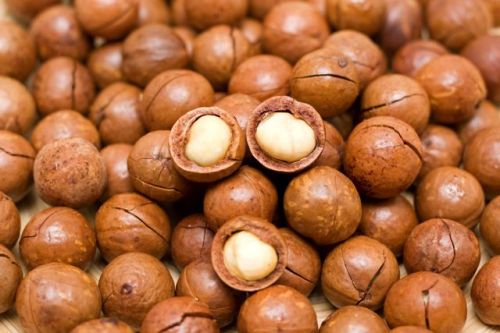Macadamia nuts