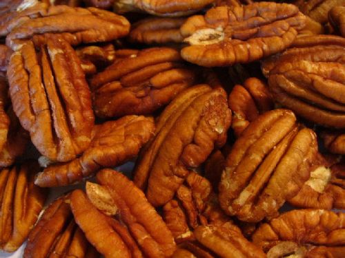 Pecan Nuts, Pine Nuts, Walnuts, Cashew Nuts