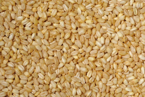 Soft White Wheat