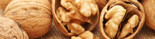 Walnuts, Certification : QS HACCP, Grade : AA for Food
