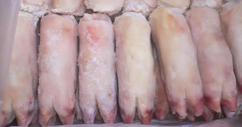 Frozen Pork Meat