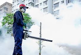 Pest Control Service In Gurugram