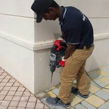 Termite Control Services In Sector 56 Gurugram