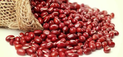 Azuki Beans, Packaging Type : Red, Size Available : 4 mm