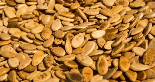 Common Watermelon Seeds