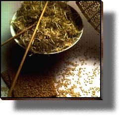 Mechanically Hulled Sesame Seeds