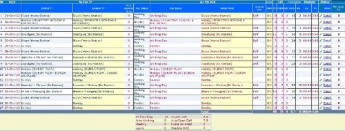 Daily Call Report Software