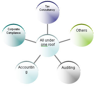 Concurrent Auditing Services