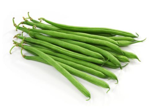 Organic Fresh Green Beans, Style : Natural