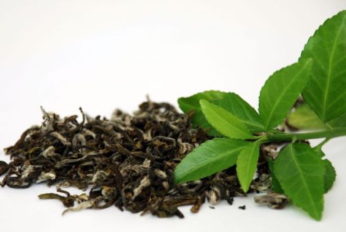 Organic Green Tea Leaves, Style : Dried