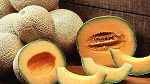 Organic Fresh Muskmelon