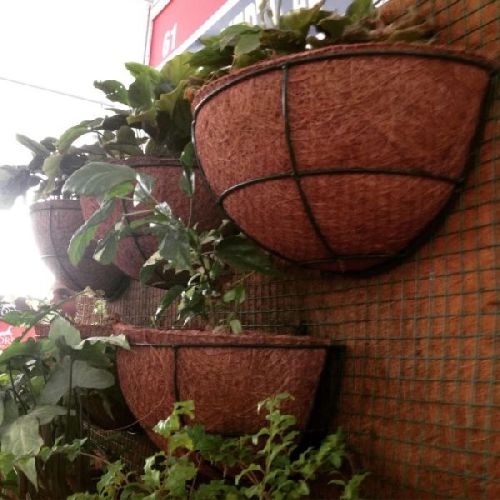 Coir Pots