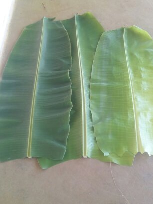 Banana Leaf, For FOOD, Certification : GOOD QTY