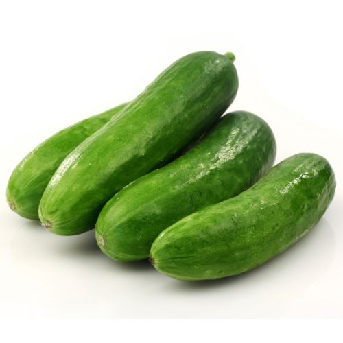 Fresh Cucumber, Packaging Type : Box