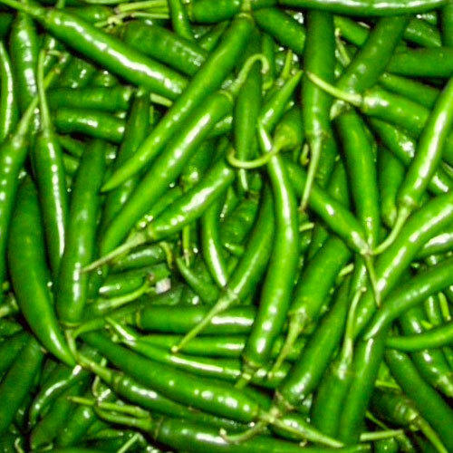 Fresh Green Chili