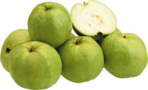 Fresh Guava, Packaging Type : Carton Box