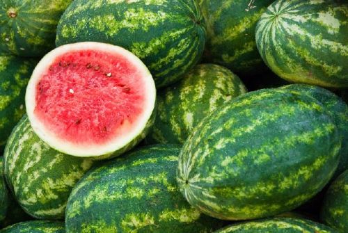 Fresh Watermelon, Packaging Type : Corrugated Box