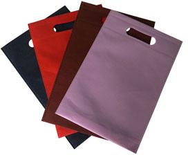 Non Woven Carry Bags