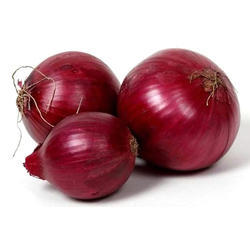 Organic Fresh Red Onion, For Cooking, Size : Large, Medium, Small