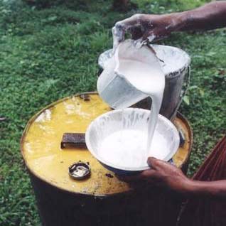 Natural Rubber Latex