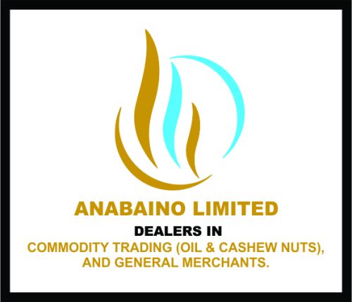 Dried Raw Cashew Nut