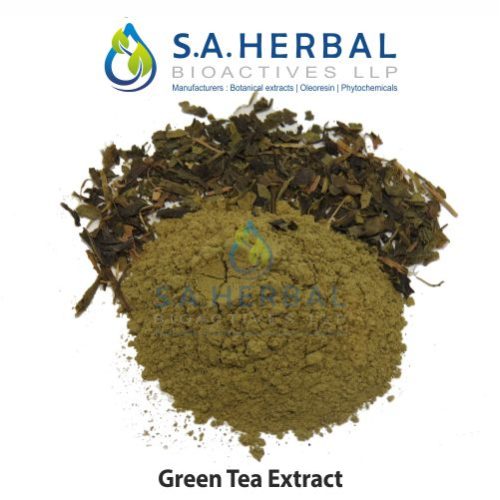 Camellia Sinensis Extract