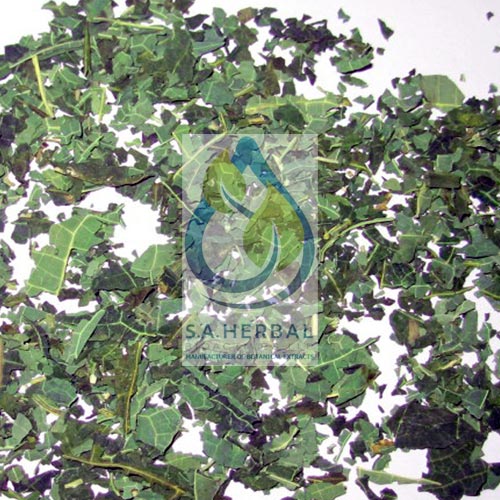 Carica Papaya Extract