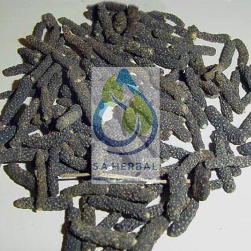 Piper Longum Extract