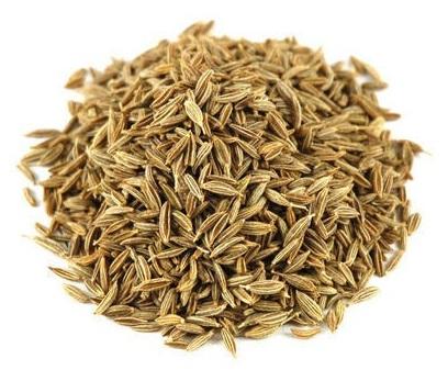 Cumin Seed