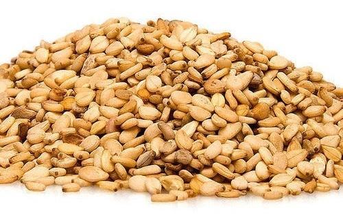 Sesame Seed