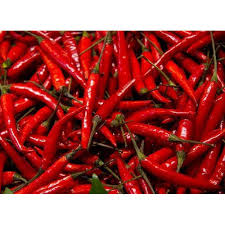 Fresh Red Chilli