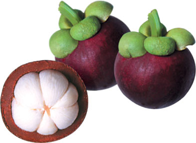 Mangosteen, Color : Purple Skin, White Flesh