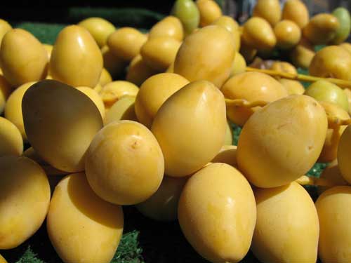 Fresh Yellow Dates