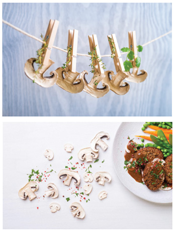 Dried Mushroom Innovations