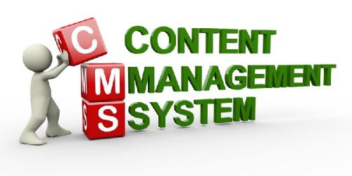 Content Management Software Services